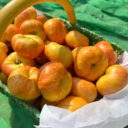 【新品上架】陕西彩虹油蟠桃成熟了，全渠道对接，一件代发