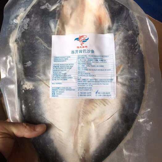 成都越南巴沙鱼开背腌制16条干水