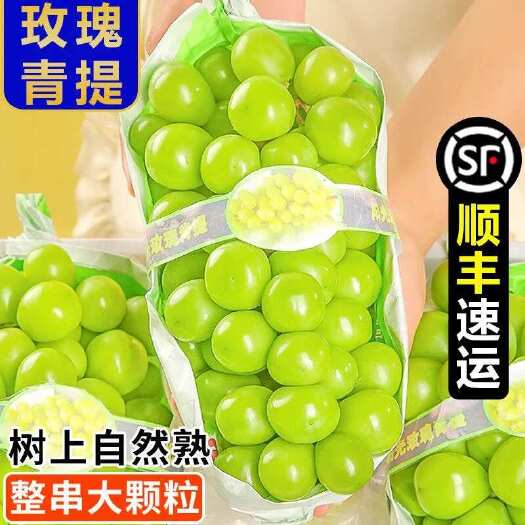 25年云南阳光玫瑰电商货市场货一件代发有量有价
