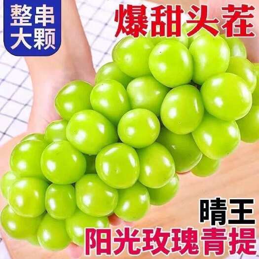 一件代发 【顺丰彩箱】云南阳光玫瑰新鲜晴王青提当季新鲜提