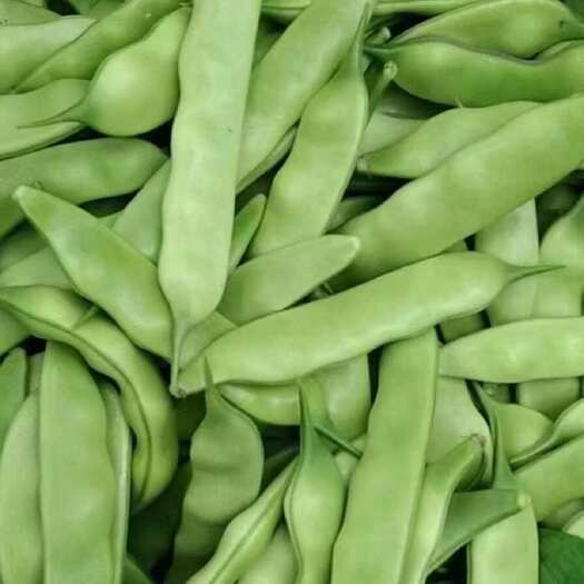 公主岭市东北油豆角之乡