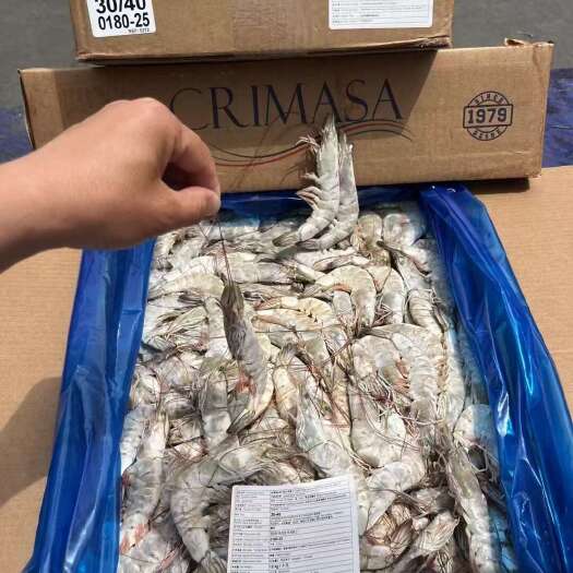 有信大板虾，一手货源