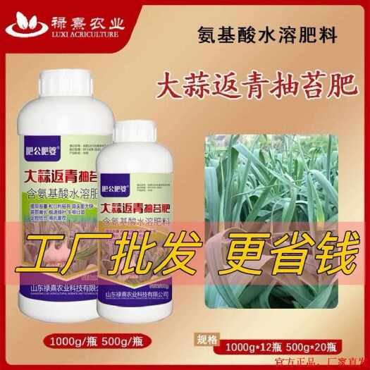 长沙大蒜返青抽苔肥出苔齐蒜头大蒜苔粗肥厚叶绿嫩绿通用型农用