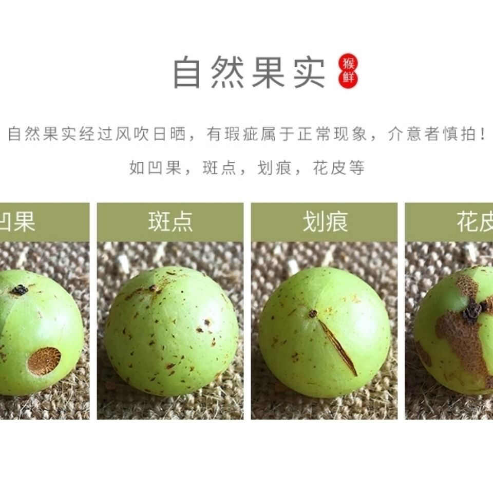广西广东油甘余甘果1/2/3/5斤一件代发包邮批发