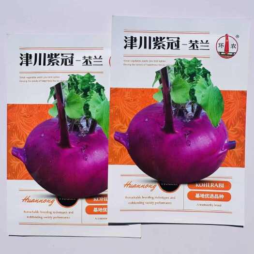 沭阳县津川紫冠苤兰种子外皮紫红色皮薄质脆紫苤蓝种子球茎扁圆形略高