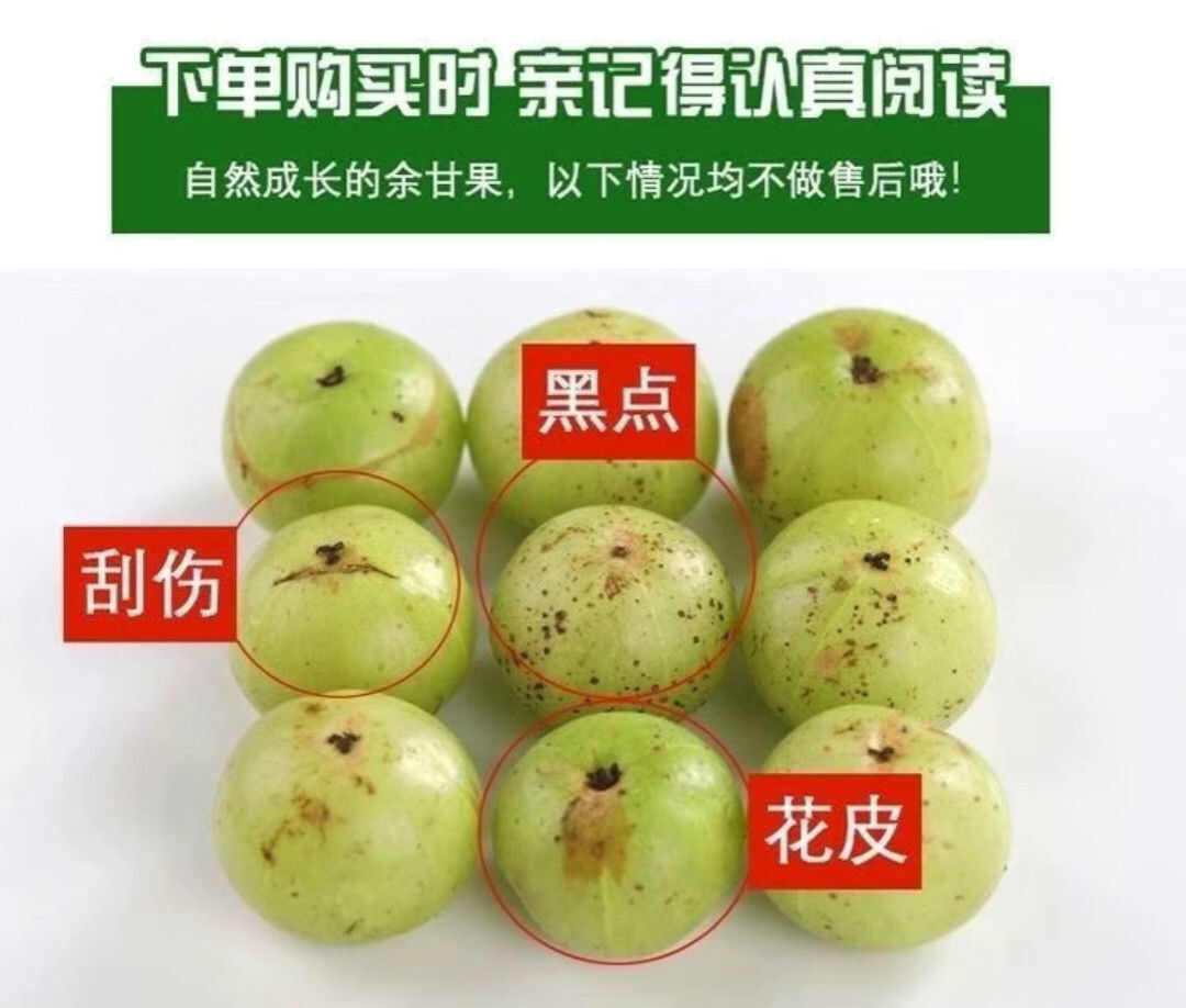 广西广东油甘余甘果1/2/3/5斤一件代发包邮批发