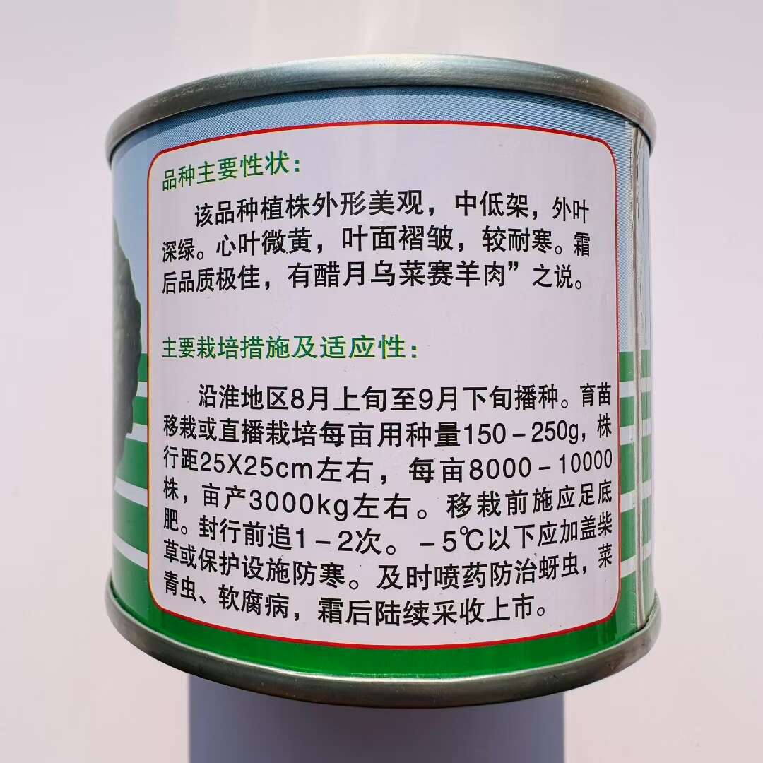 德赛金黄玉黄心乌种子特矮乌塌菜种籽特耐寒蔬菜种子腊月乌菜种子