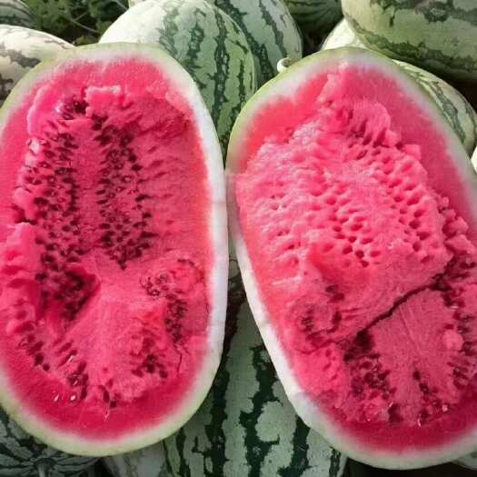 中宁县宁夏硒砂瓜