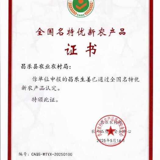全国名特优新农产品潍坊姜种脱毒姜种昌乐生姜全国诚招育种基地