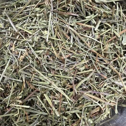 玉林半枝莲