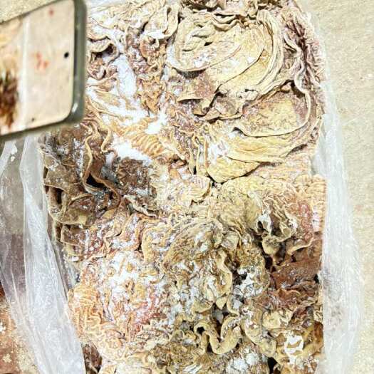 宁夏银川西夏区牛肠禽畜肉类副产品新鲜牛副产品供应 牛伞代