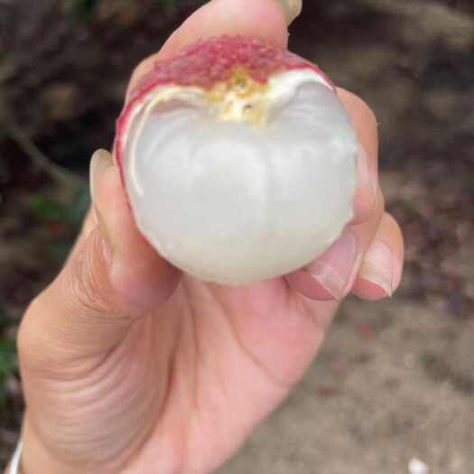 阳西县大量果货有需要请联系