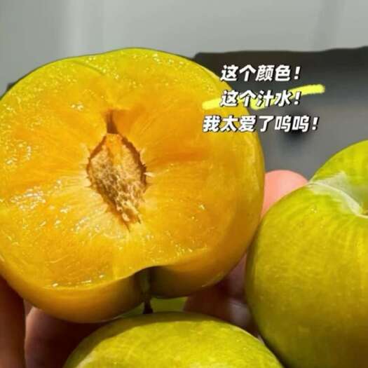 新郑市蜂糖李