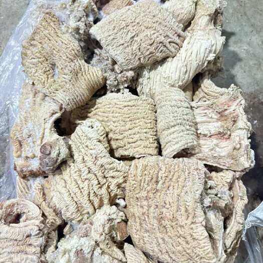 宁夏银川西夏区禽畜肉类副产品新鲜牛副产品供应 牛碗口