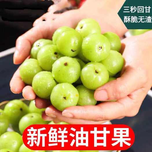 广西广东油甘余甘果1/2/3/5斤一件代发包邮批发