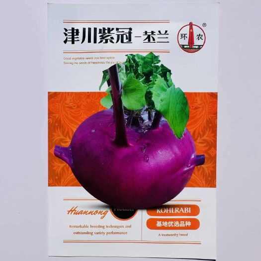 沭阳县津川紫冠苤兰种子外皮紫红色皮薄质脆紫苤蓝种子球茎扁圆形略高
