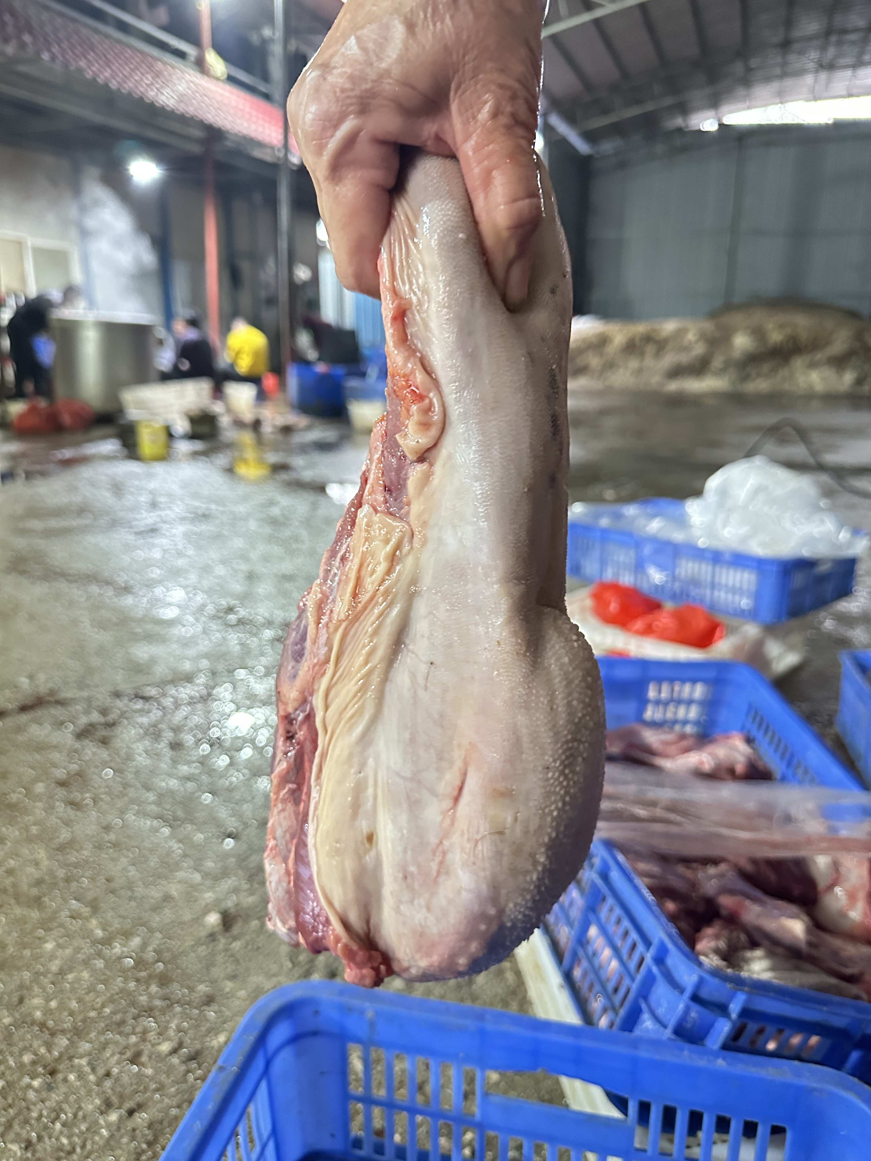 南宁精品牛舌 带舌根肉