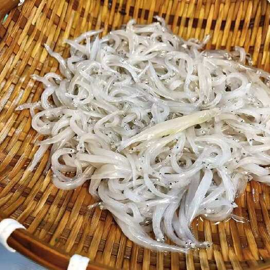 丹东丹东小银鱼鲜活水产食用鱼类批发