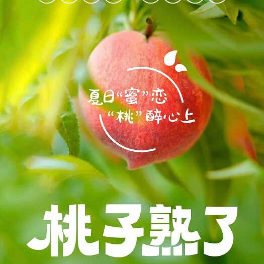 水密桃