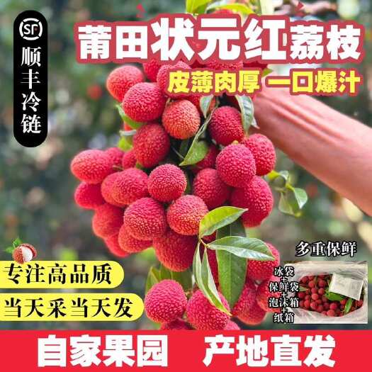 莆田福建莆田状元红小籽荔枝新鲜现摘5斤顺丰空运包超甜爆汁当季水果