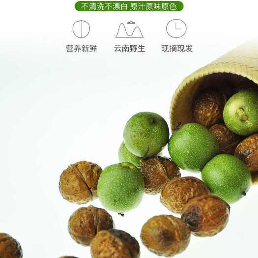 大凉山新鲜青皮核桃手摘果