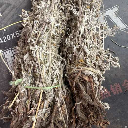 玉林翻白草