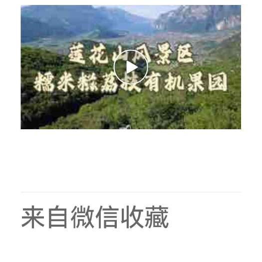 汕头澄海糯米糍荔枝新鲜水果热带佳果