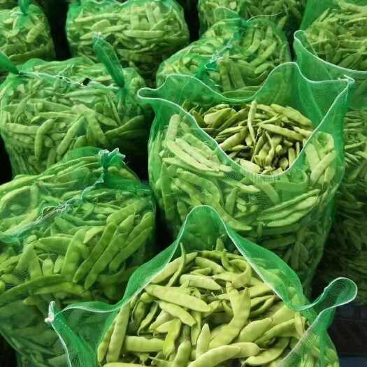 吉林豆角大量上市，产地直发