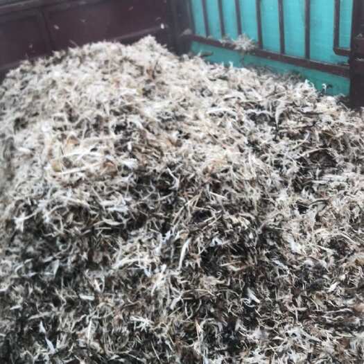 荆门鸡毛