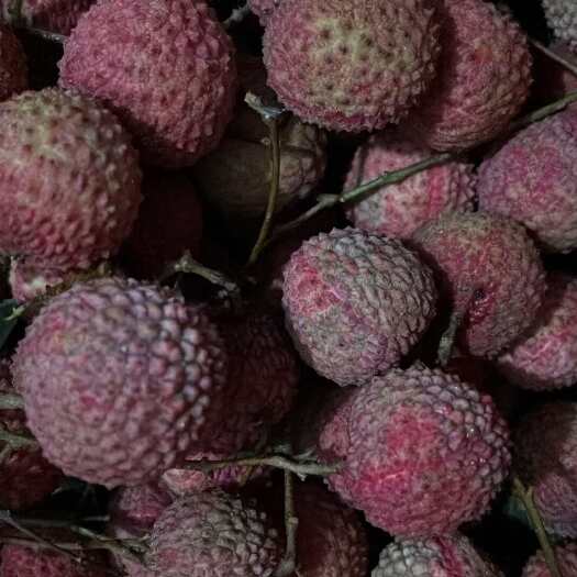 博罗县桂味荔枝，九成都是小核