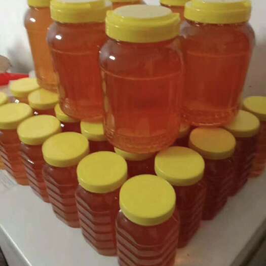 济源市蜂蜜自家养的纯蜂蜜，枣蜜跟槐花蜜各150斤