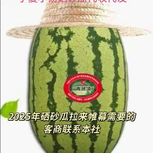 中宁县宁夏中卫硒砂瓜代办小杨欢迎各位老板来电