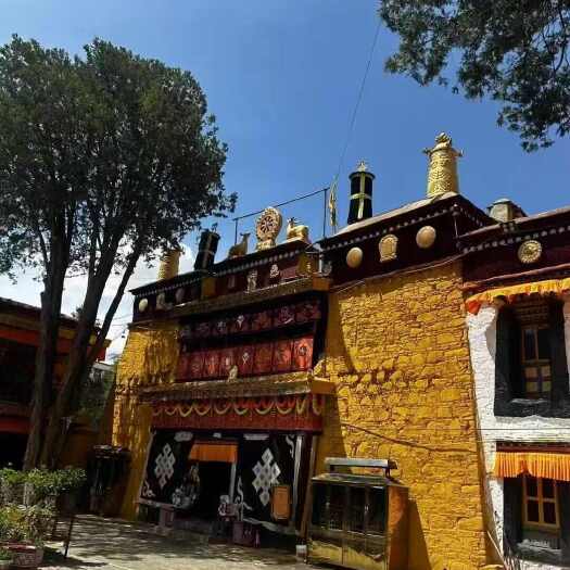 西藏那曲虫草产地直供 滋补中药材优选