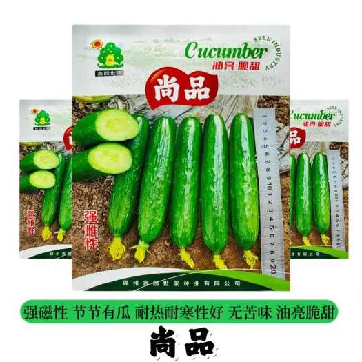水果黄瓜种子耐热耐寒强雌型水果黄瓜种子 欧果7号水果黄瓜种子
