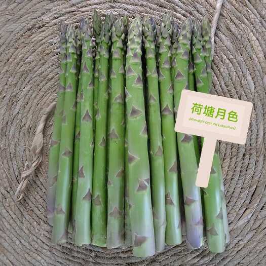 荷塘月色 只卖杂交一代高产芦笋苗 高产抗病品种 认准巨鑫源