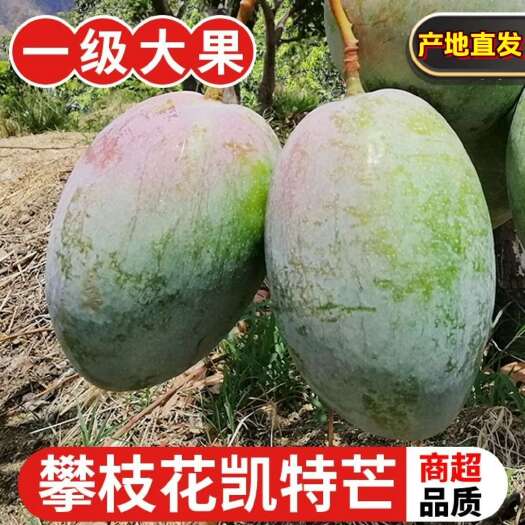 【回头客多】攀枝花凯特大脸芒果新鲜当季网红水果核薄肉厚