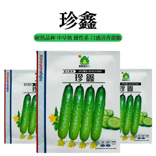 水果黄瓜种子 春夏秋强雌水果黄瓜种子