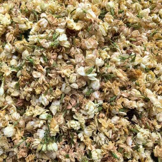 横州市横县直营茉莉花干压花