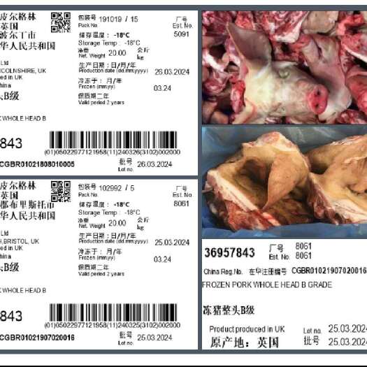 英国冻猪头带耳带舌-5091厂B级
