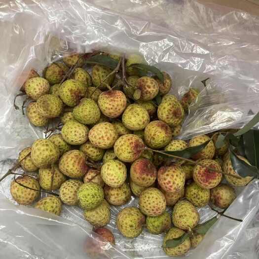 东莞市荔枝观音绿东莞樟木头原产地