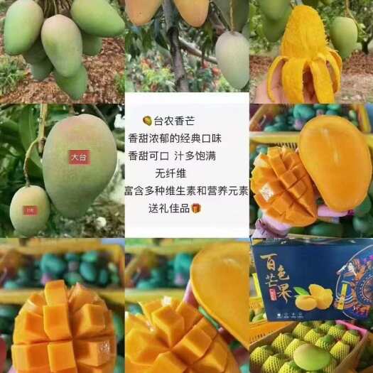 百色广西百色田阳小台农芒精品果礼盒装，单果80-150g