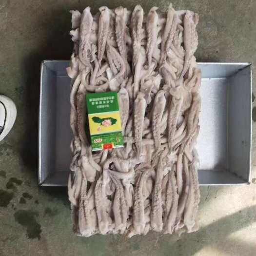 单冻整只鱿鱼，单冻鱿鱼头，二本足等各种鱿鱼产品