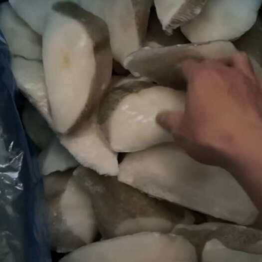 连云港比目鱼块蝶鱼片鲽鱼海鲜批发宝宝辅食鱼块肉嫩