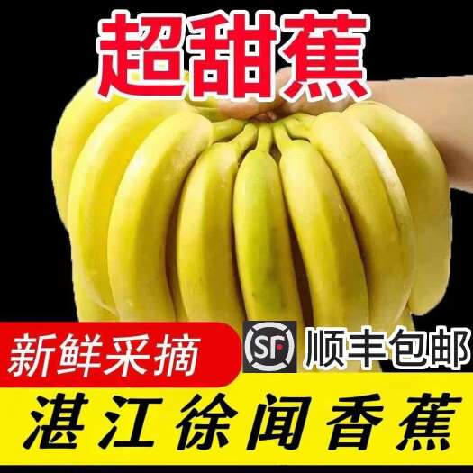 （不甜包赔 树上熟徐闻香蕉) 新鲜水果现摘 （顺丰包邮）