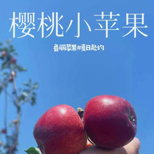 陆良县包邮~云南高原樱桃小苹果，鲁丽新果上市非冷库果