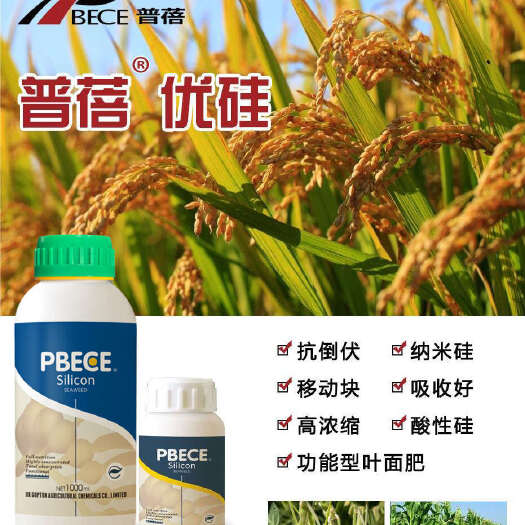 青岛蔬菜专用肥  硅肥叶面肥抗倒伏缓解药害肥害茎杆