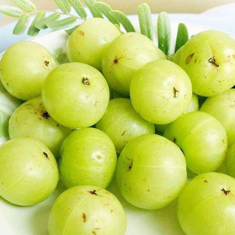 潮汕油甘 西饼甘 玻璃甘油甘包邮