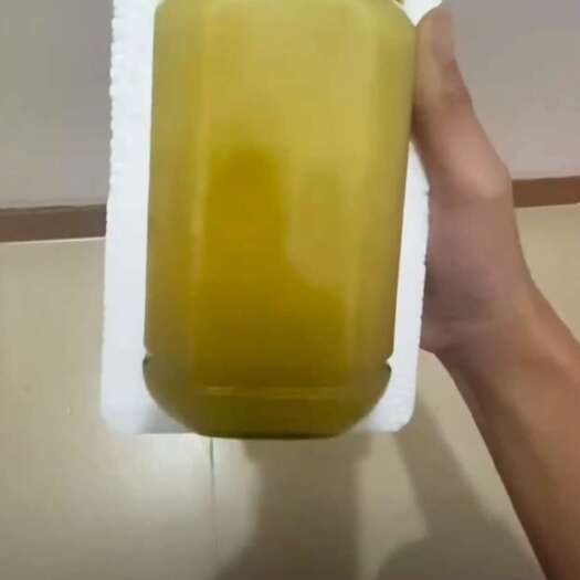 普宁市蜂蜜水蜂糖不是冬蜂
