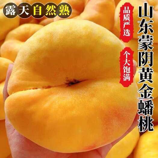 山东蒙阴黄金蜜毛蟠桃水果新鲜大盘桃彩虹整箱扁桃子当季大果