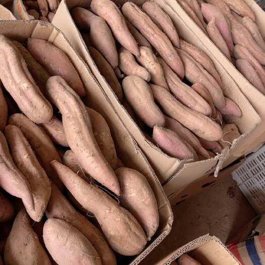 白哈蜜红薯冰糖心精品支持各种规格大小